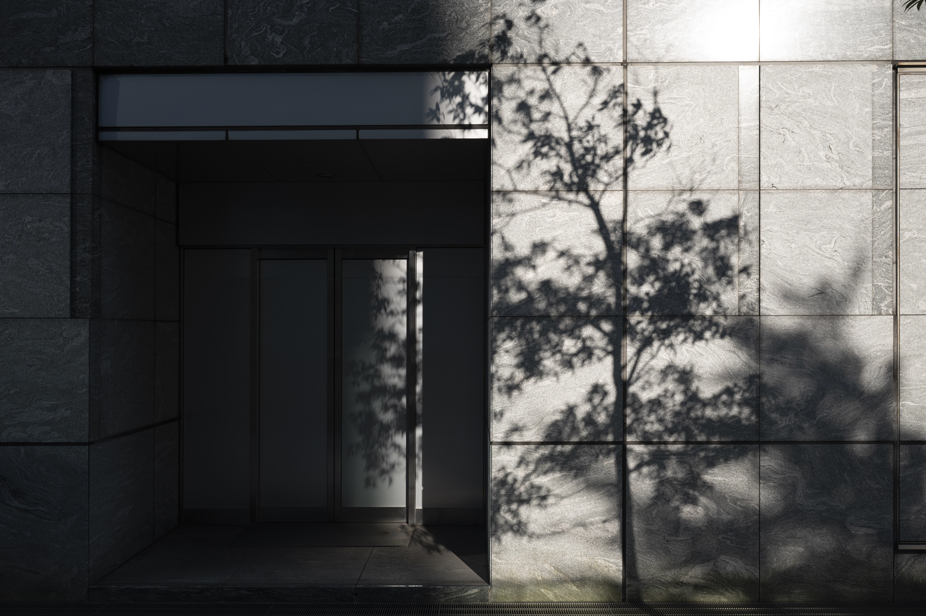 Monochrome entryway with tree shadow on stone wall, quiet architectural detail for home remodeling and design-build process